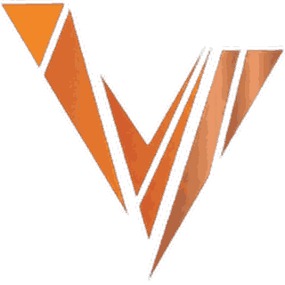 V.I.D.A. Consulting